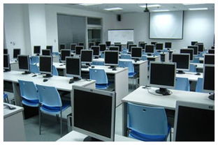 探究大連東軟睿道實訓在軟件開發領域的表現